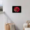 Bloem - Roos - Rood - Zwart tuinposter los doek klein -sfeer8