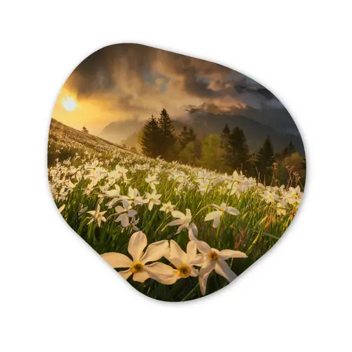 Bloemenveld - Heuvels - Zonsondergang - Berg - Natuur - Wit Wandcirkel Organisch Forex 3mm klein -3d