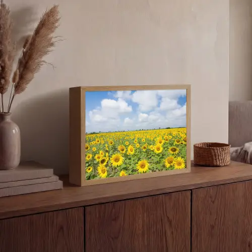 Zonnebloemen - Bloemen - Wolken - Natuur - Geel - Landschap Light Box met batterij (Wandlamp) middel -sfeer2