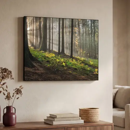 Zon - Takken - Bomen - Bos - Natuur Textielframe - compleet frame klein -sfeer3