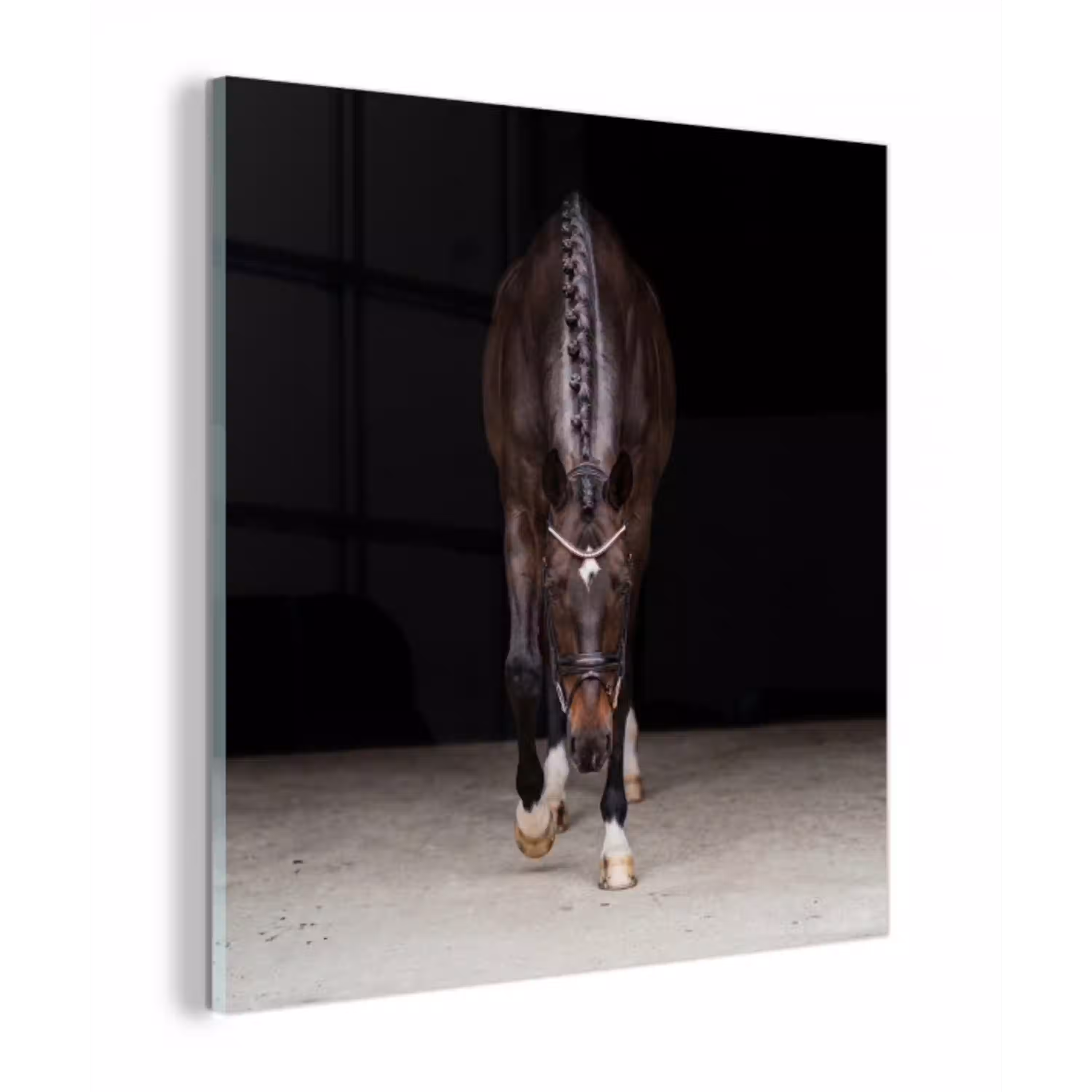 Paard - Modern - Portret plexiglas 5mm klein -z3d