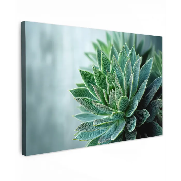 Vetplant - Bladeren - Groen - Wazig canvas 2cm klein -z3d