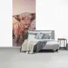 Schotse hooglanders - Licht - Lucht - Natuur fotobehang vinyl groot -slaapkamer