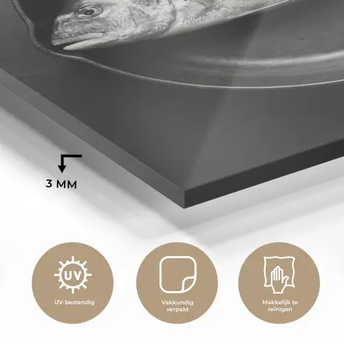 Pan - Vis - Zwart - Wit plexiglas 5mm klein -sfeer2