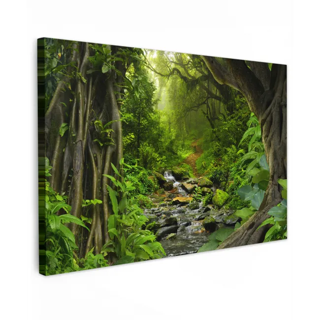 Natuur - Water - Jungle - Bos - Tropisch canvas 2cm klein -z3d