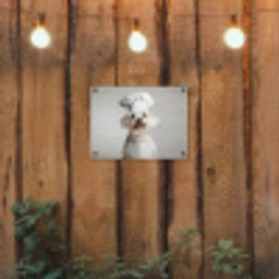Hond - Wit - Kok tuinposter los doek klein -sfeer1