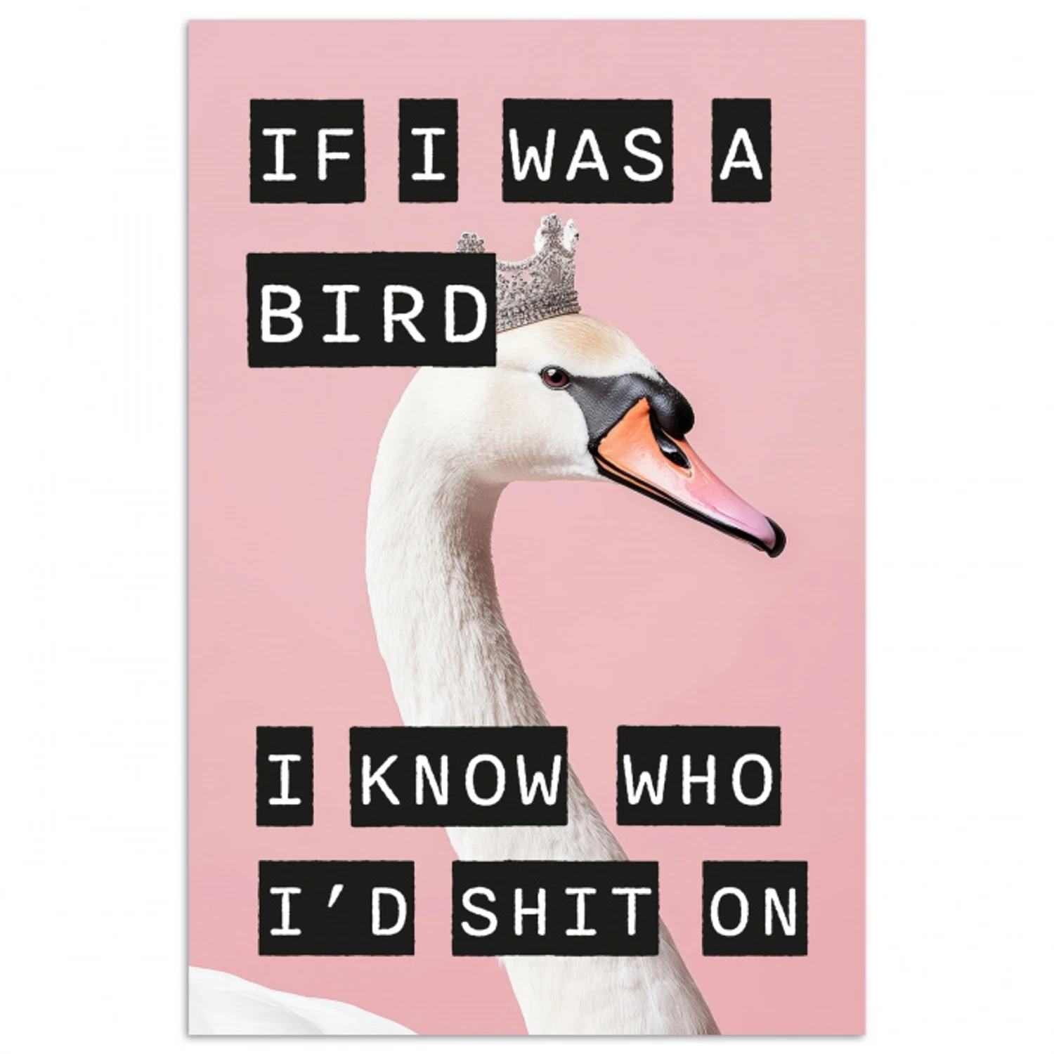Zwaan - Vogel - Decoratie - Roze poster papier klein -3d