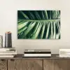 Palmblad - Tropisch - Natuur - Jungle aluminium wit klein -sfeer1