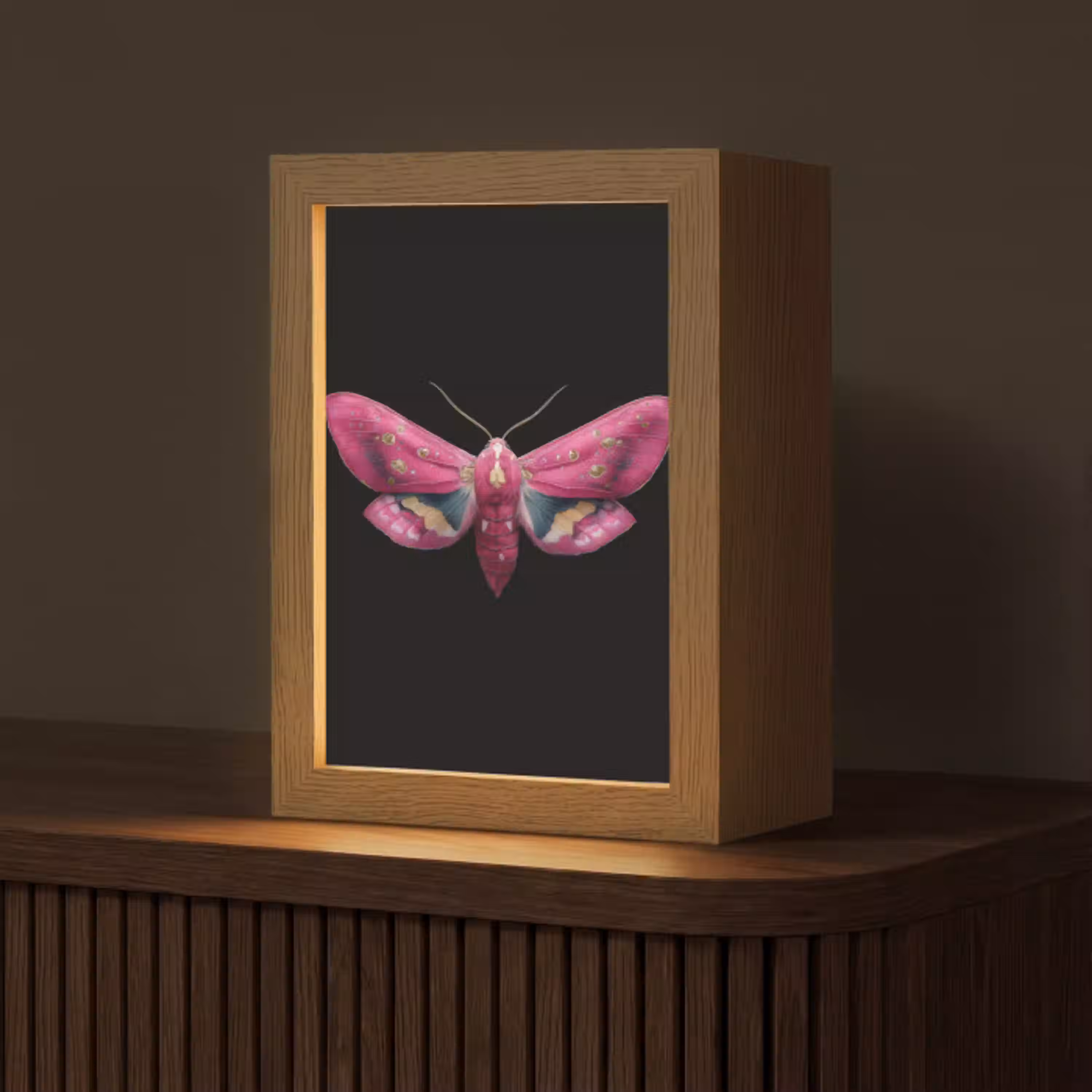 Vlinder - Roze - Nachtvlinder Light Box met kabel (Tafellamp) klein -z3d_website