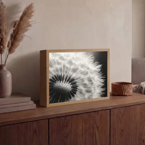 Paardenbloem - Zwart - Wit Light Box met batterij (Wandlamp) middel -sfeer2