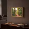 Bos - Pad - Bomen - Groen - Zon - Natuur Light Box met batterij (Wandlamp) middel -sfeer1
