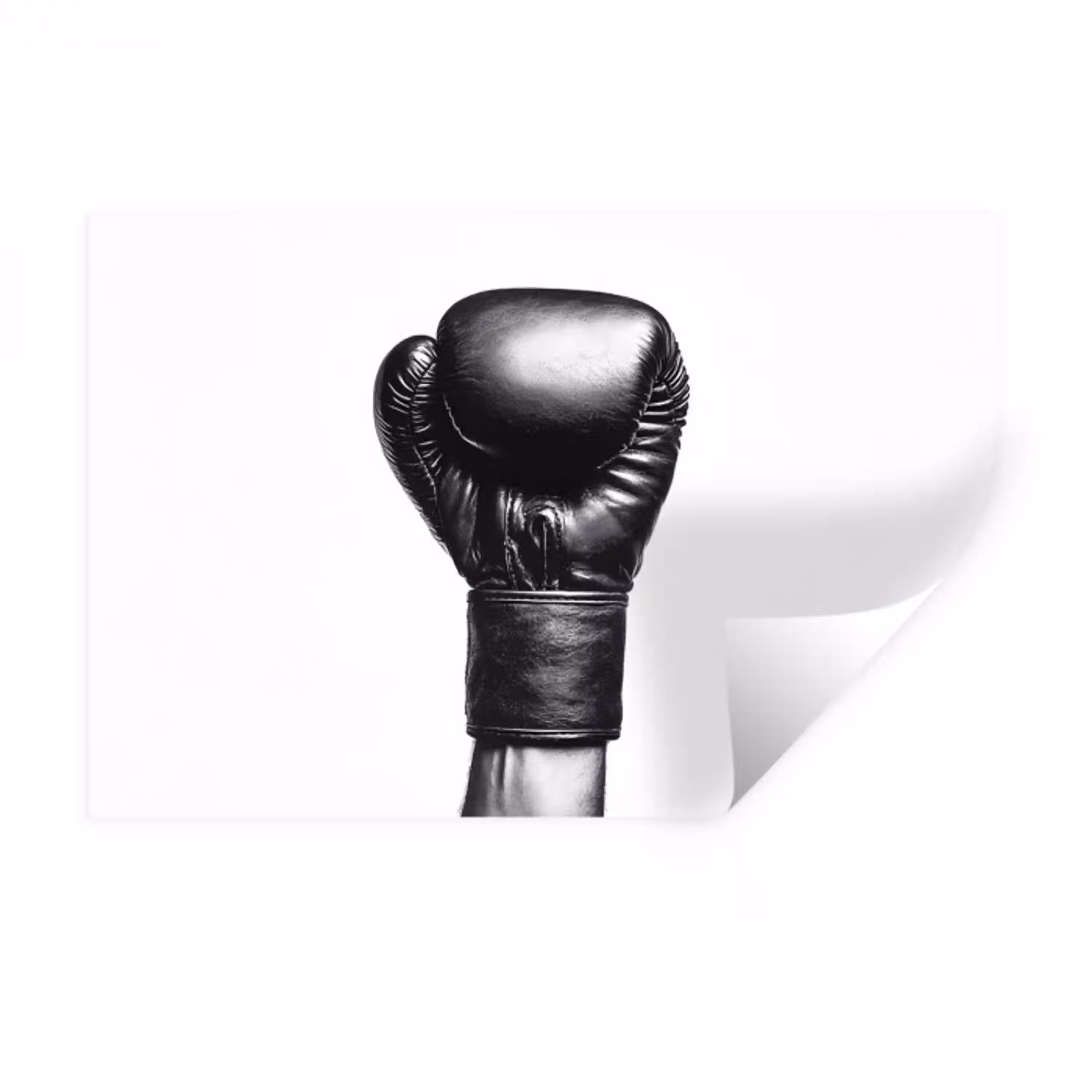 Bokshandschoen - Zwart - Hand Muursticker klein -3d