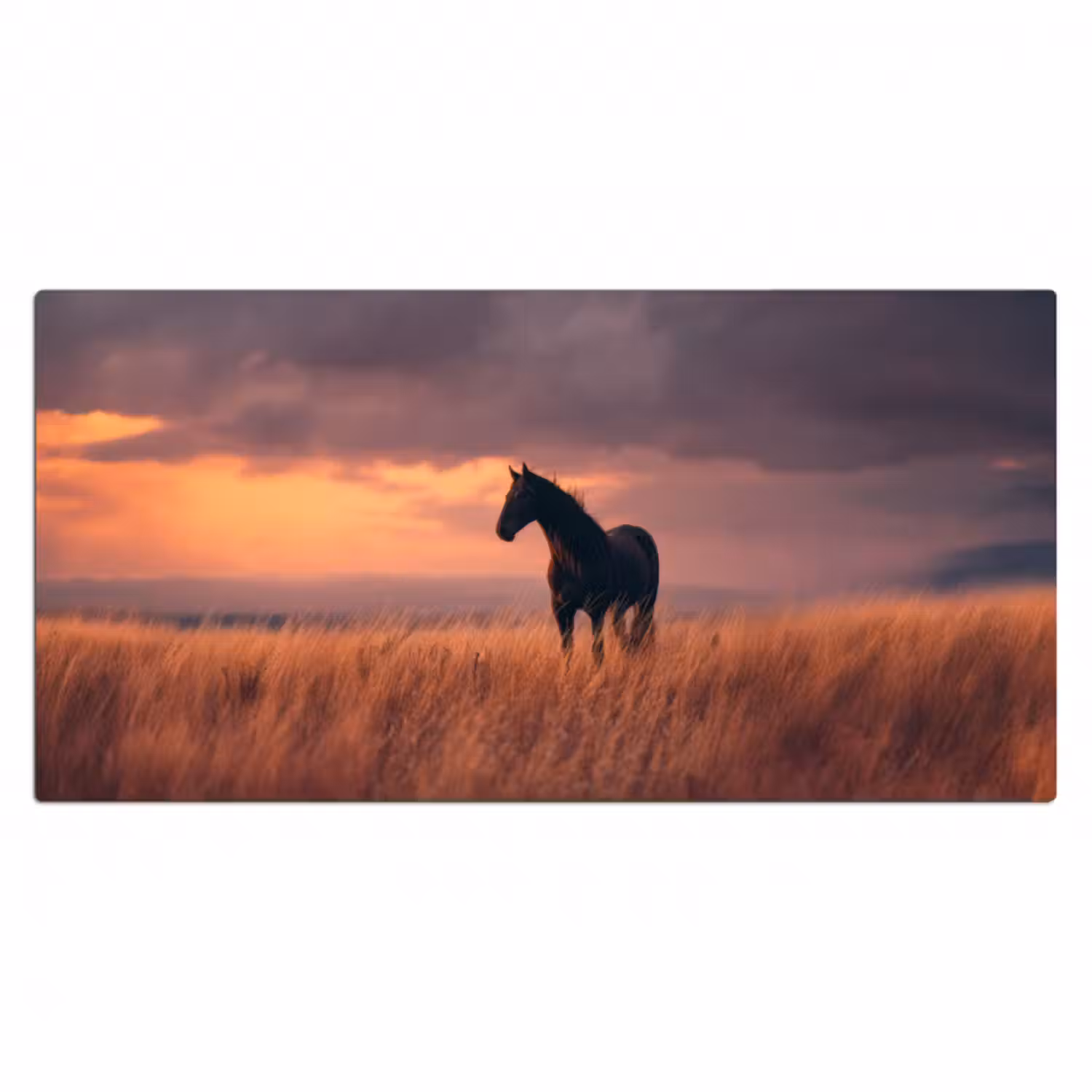 Schreibtischunterlage - Pferd - Wolken - Offenes Feld