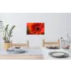 Oranje - Gerbera - Intens Muursticker klein -eettafel