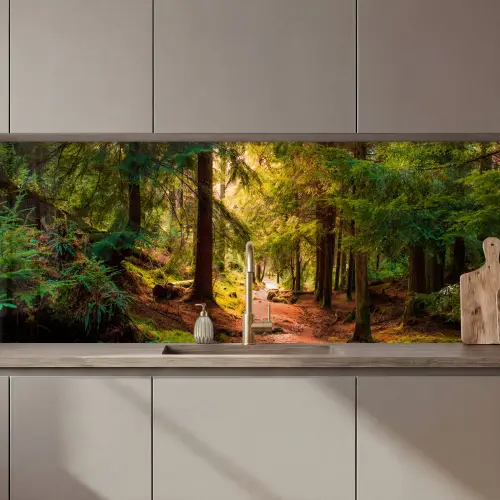 Bos - Pad - Bomen - Groen - Zon - Natuur keuken achterwand 2 middel zz_3dshopping