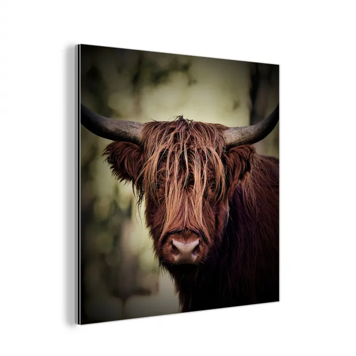 Schotse hooglander - Licht - Portret - Natuur aluminium wit klein -3d