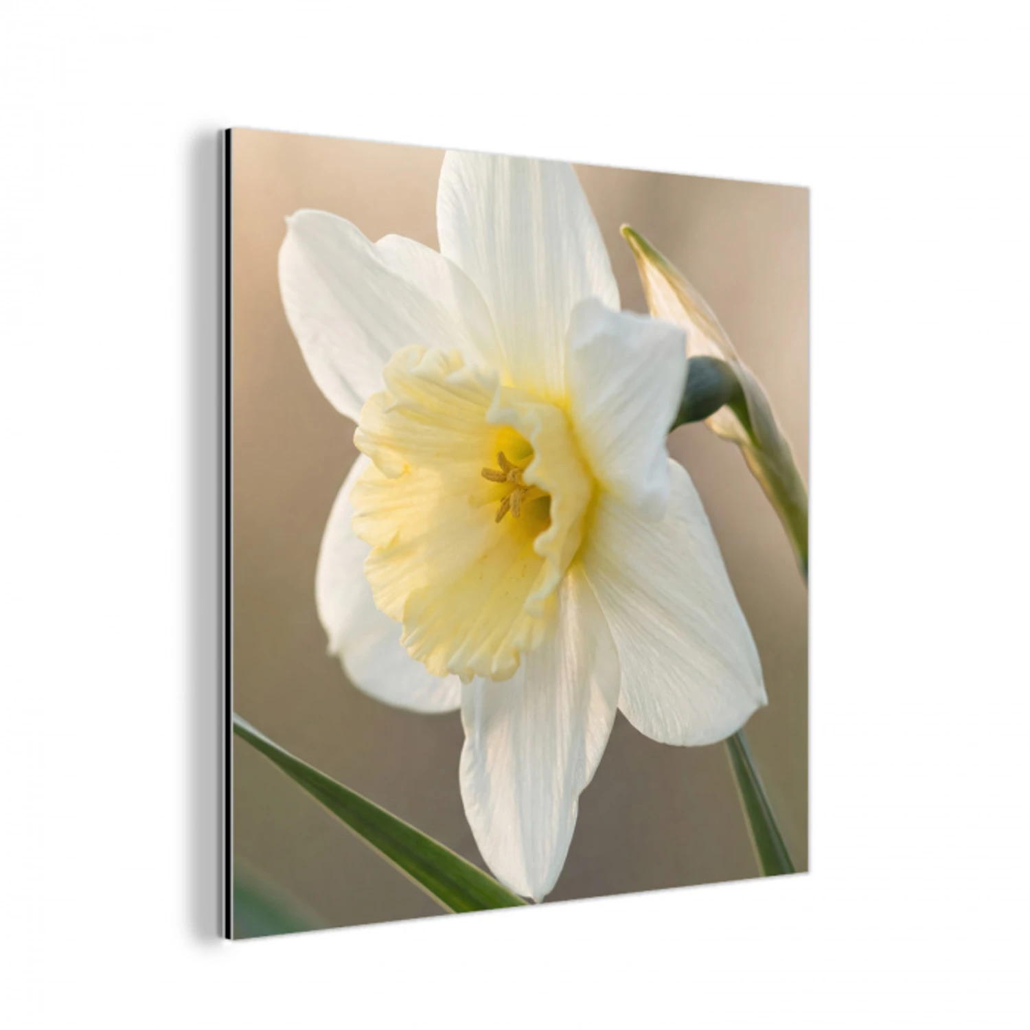Narcis - Bloem - Minimalistisch aluminium wit klein -3d