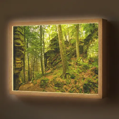 Bomen - Steen - Bos - Natuur - Planten Light Box met batterij (Wandlamp) middel -z3d_website