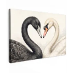 Zwanen - Hartvorm - Dieren canvas 2cm klein -z3d