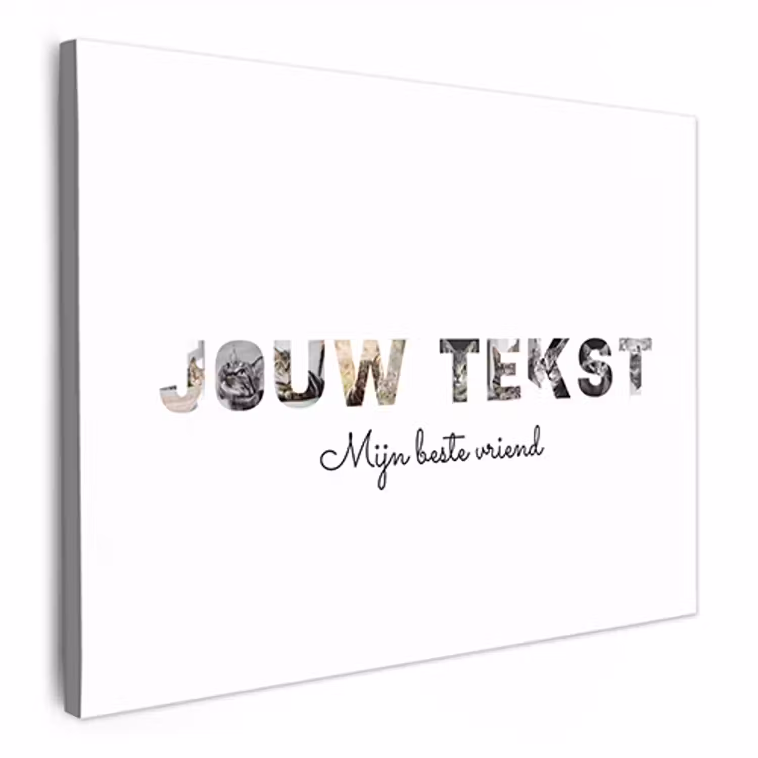 Canvas - Eigen tekst