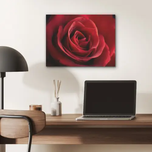 Rood - Roos - Romantisch PET vilt klein -sfeer5