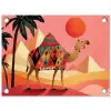 Kameel - Pyramides - Rode zon tuinposter los doek klein -3d