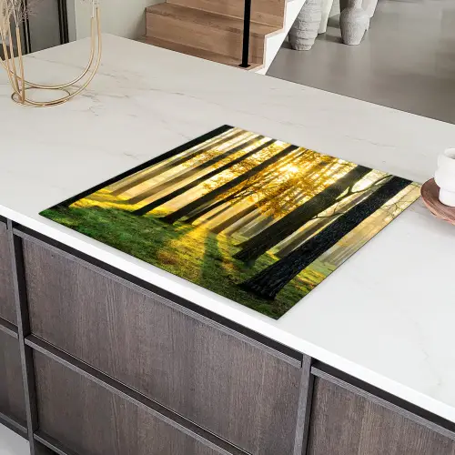 Bos - Zon - Bomen - Gras - Landschap  - Natuur Inductie beschermer vinyl 3mm middel -sfeer8