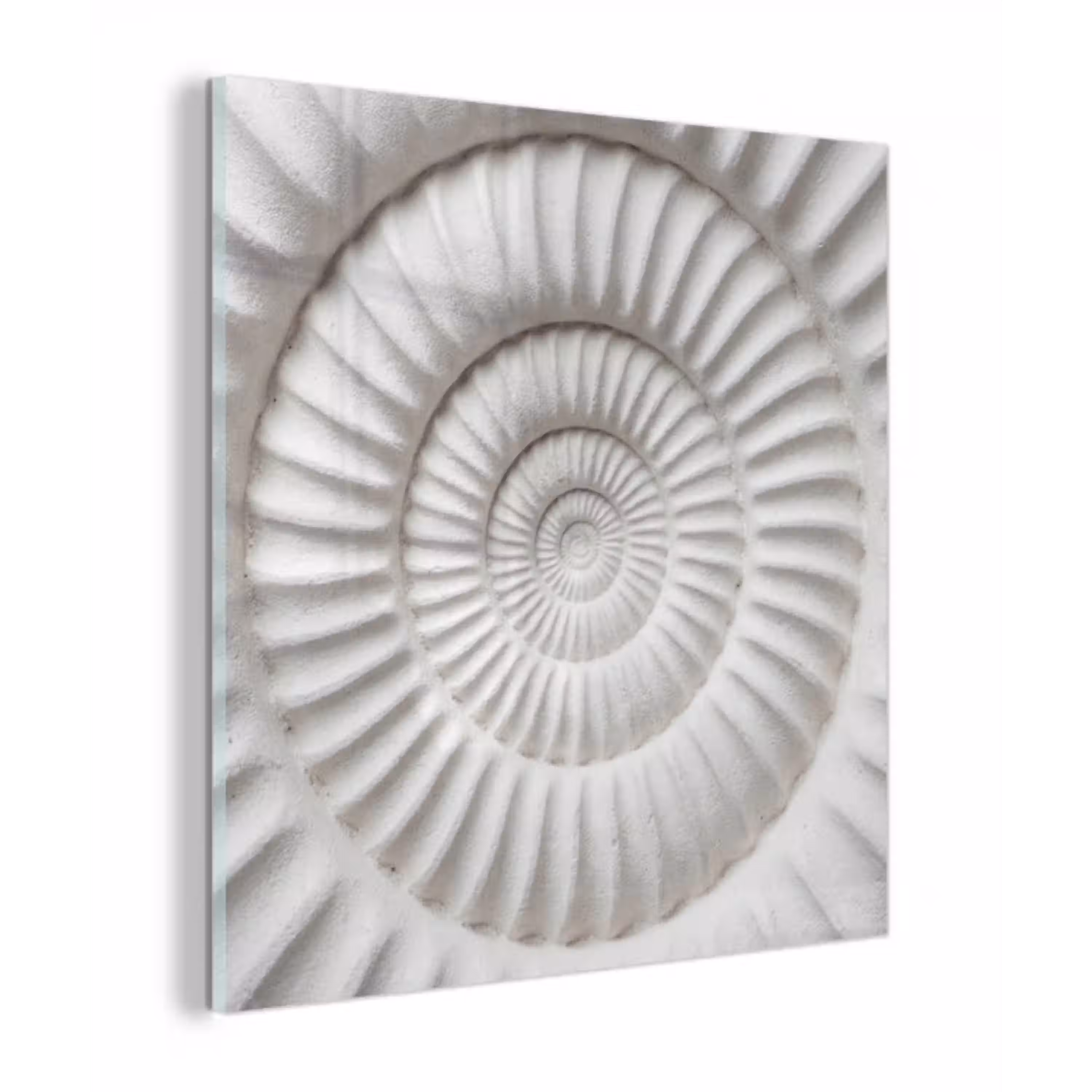 Schelp - Spiraal - Wit plexiglas 5mm klein -z3d