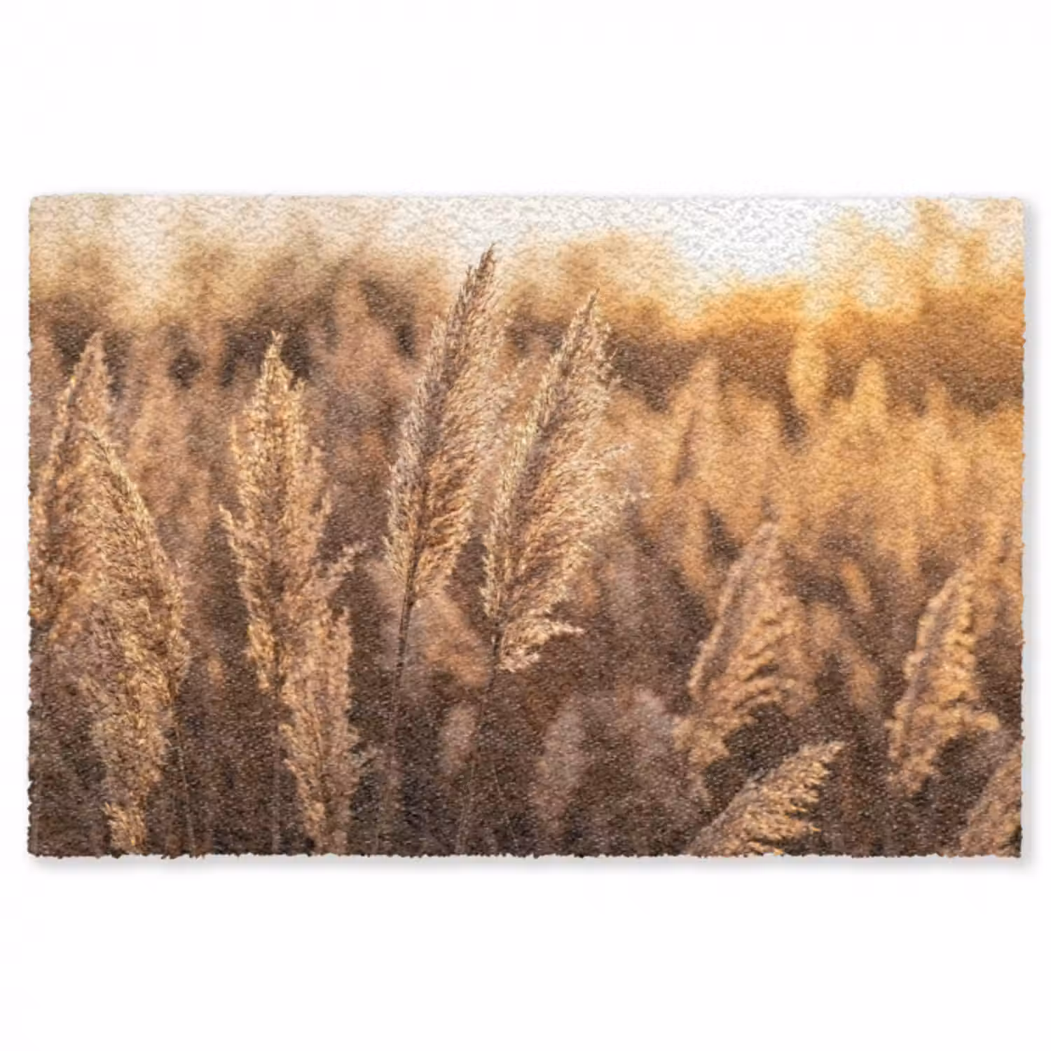 Teppich - Schilfrohrfahnen - Gras - Sonnenuntergang - Gold - Gelassenheit