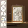 Lelies - Boekte - Wit - Meeldraden Light Box met kabel (Tafellamp) klein -USP_NL
