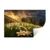 Bloemenveld - Heuvels - Zonsondergang - Berg - Natuur - Wit Muursticker klein -3d
