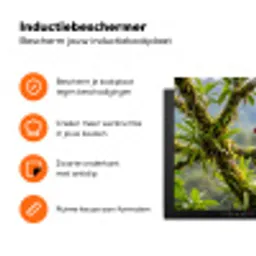 Toekan - Jungle - Natuur - Kleurrijk Inductie beschermer vinyl 3mm klein -zzzzzzz-td-ups