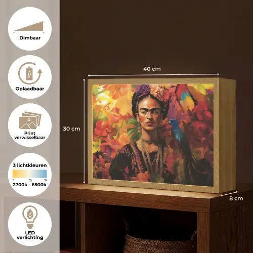 Vrouw - Bloemen - Papegaai - Schilderachtig Light Box met batterij (Wandlamp) middel -USP_websiteoverzichtNL