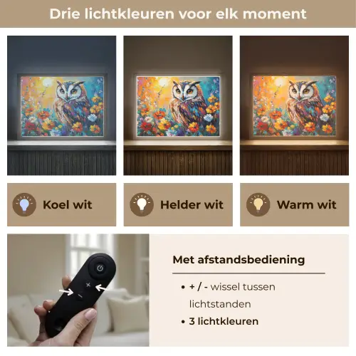 Uil - Bloemen - Kunst - Zonsondergang Light Box met batterij (Wandlamp) middel -USP_lichtkleurNL