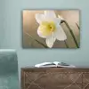 Narcis - Bloem - Minimalistisch canvas 2cm klein -sfeer4