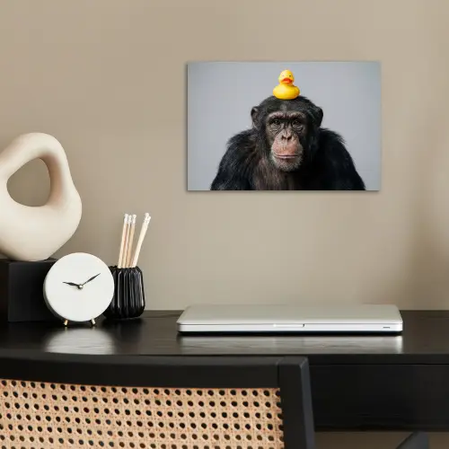 Chimpansee - Badeend - Grijs poster papier klein -sfeer1