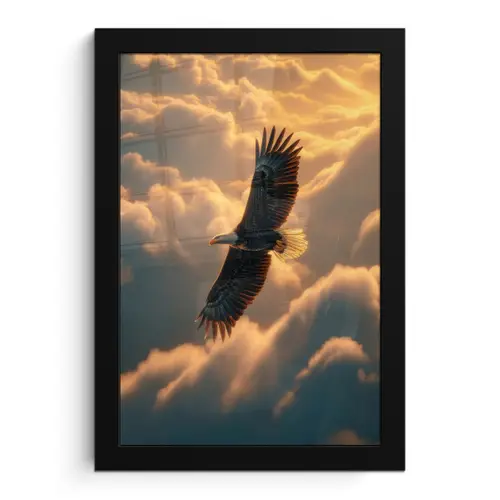 Adelaar - Wolken - Zon fotolijst zwart zonder passe partout klein -3d