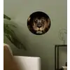 Leeuw - Dieren - Zwart - Portret Wandcirkel behangsticker klein -sfeer2