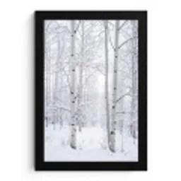 Berkenbomen - Sneeuw - Winter - Bos - Wit fotolijst zwart zonder passe partout klein -3d
