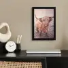 Schotse hooglanders - Licht - Lucht - Natuur fotolijst zwart zonder passe partout klein -sfeer1