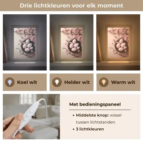 Roze - Bloesems - Eieren Light Box met kabel (Tafellamp) klein -USP_lichtkleurNL