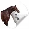 Paard - Modern - Balans Wandcirkel behangsticker klein -3d