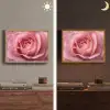 Roze - Roos - Romantisch Light Box met batterij (Wandlamp) middel -sfeer3