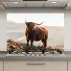 Schotse hooglander - Dieren - Landelijk - Landschap - Koe - Natuur keuken achterwand spatscherm klein -3d_website