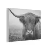 Schotse hooglander - Zwart - Wit - Gras PET vilt klein -3d