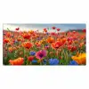 bloemen-klaprozen-kleurrijk-natuur Muismat XXL klein -3d_leeg