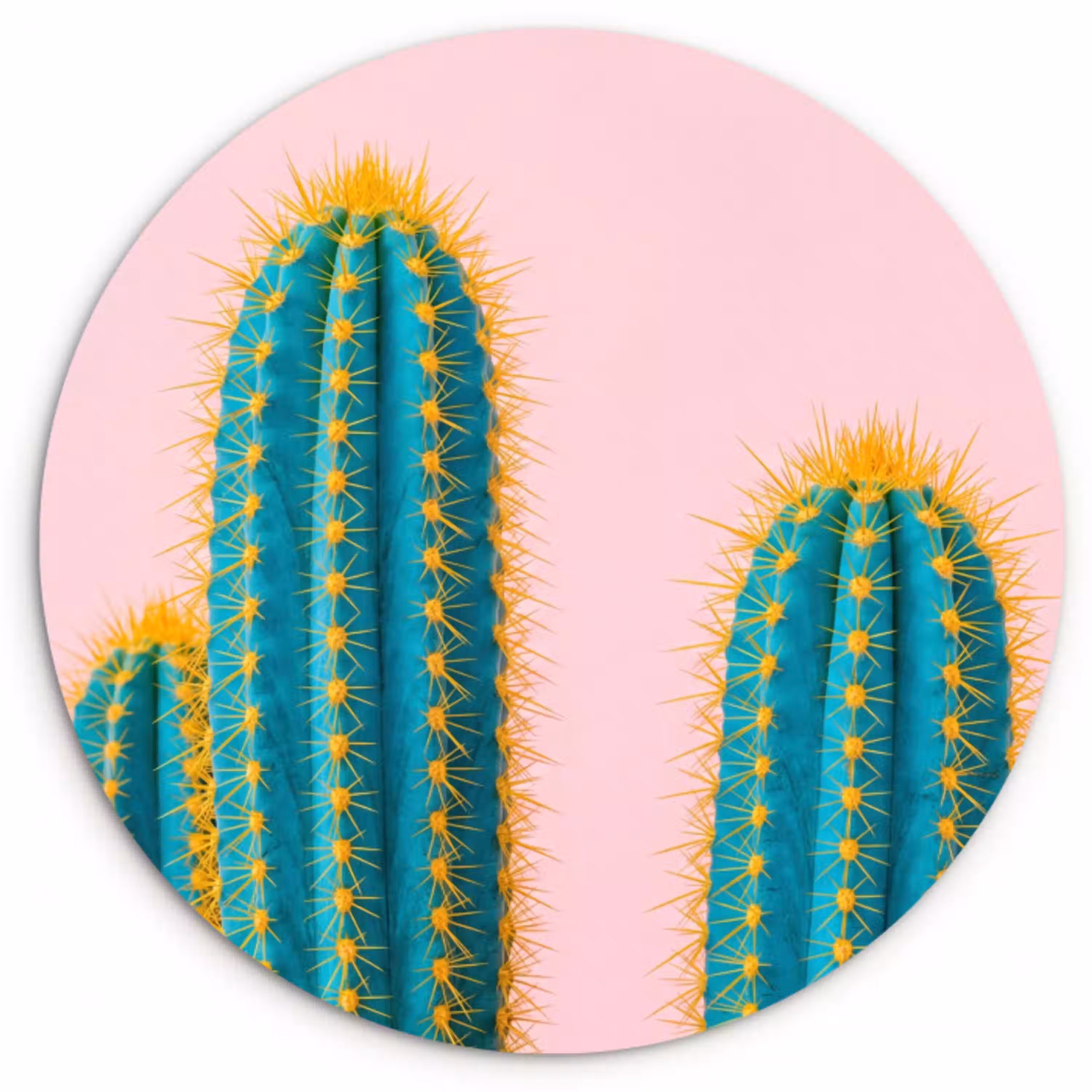 Cactussen - Modern - Pastel Wandcirkel kunststof plaat 5mm dik klein -3d