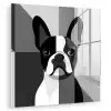 Buldog - Zwart - Abstract - Vlakken plexiglas 5mm klein -zzzproduct_nieuw