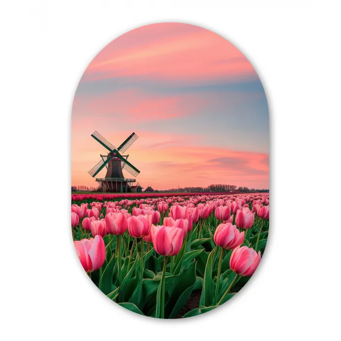 Tulpen - Molen - Nederland Wandcirkel Ovaal Glas middel -3d