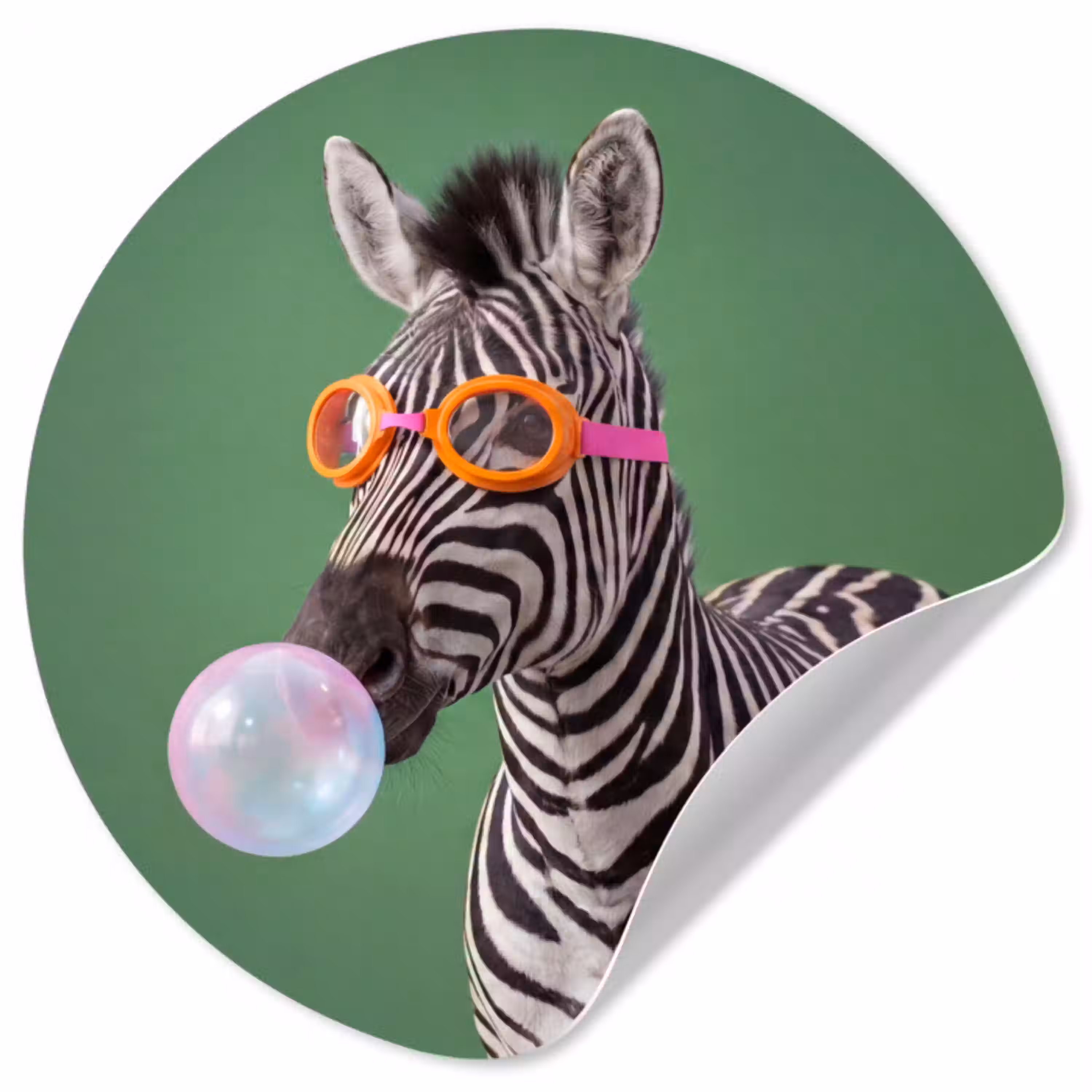 Dier - Bril - Bel - Modern - Groen Wandcirkel behangsticker klein -3d